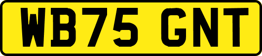 WB75GNT