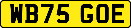 WB75GOE