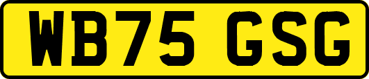 WB75GSG