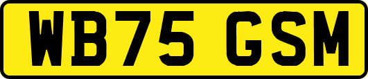 WB75GSM