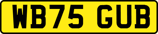 WB75GUB