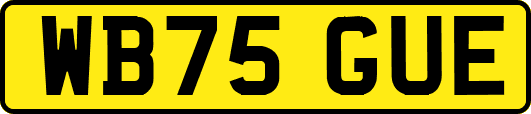 WB75GUE