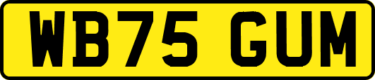 WB75GUM