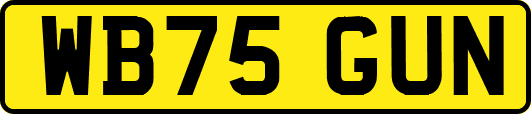 WB75GUN