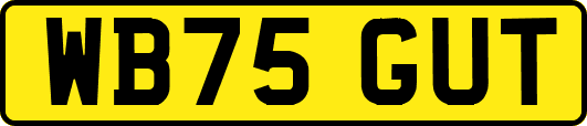 WB75GUT