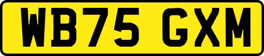 WB75GXM