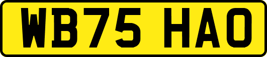 WB75HAO