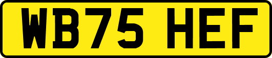 WB75HEF
