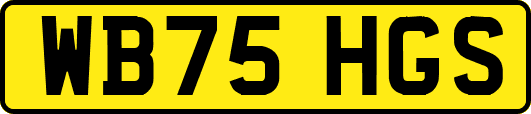 WB75HGS