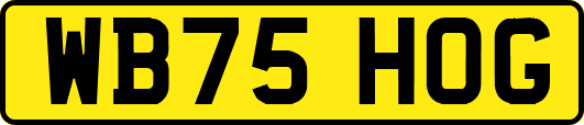 WB75HOG