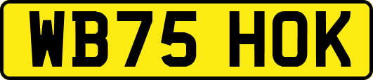 WB75HOK
