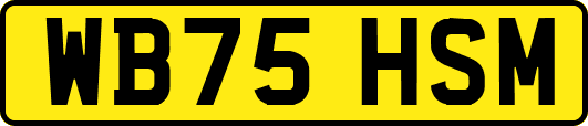 WB75HSM