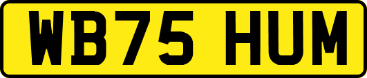 WB75HUM