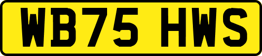 WB75HWS