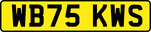 WB75KWS