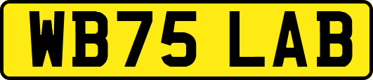 WB75LAB