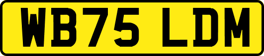 WB75LDM