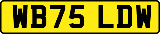 WB75LDW