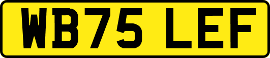 WB75LEF