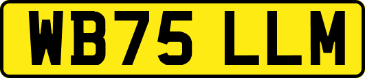WB75LLM