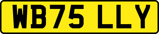 WB75LLY