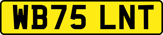 WB75LNT