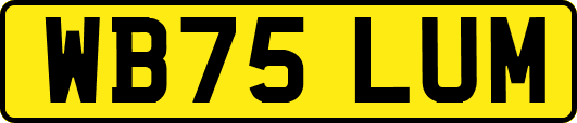 WB75LUM