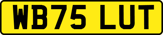 WB75LUT