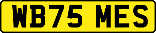 WB75MES