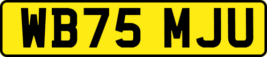 WB75MJU