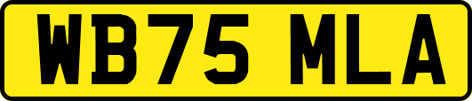 WB75MLA