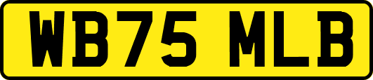 WB75MLB