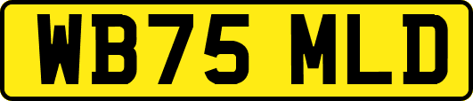 WB75MLD