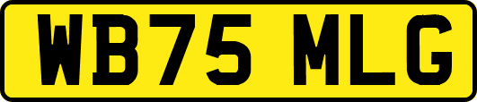 WB75MLG