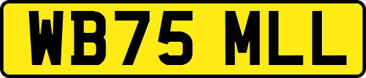 WB75MLL