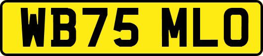 WB75MLO
