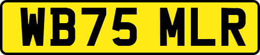WB75MLR