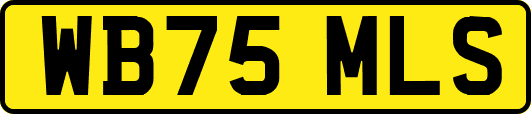 WB75MLS