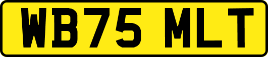 WB75MLT
