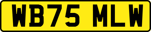 WB75MLW