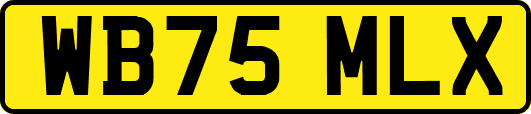 WB75MLX