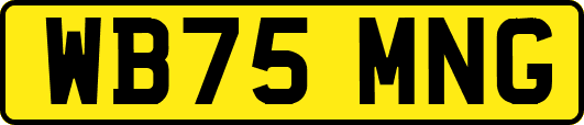 WB75MNG