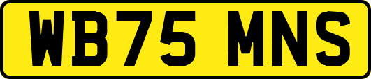 WB75MNS