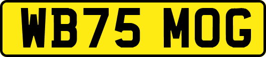 WB75MOG
