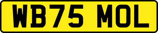 WB75MOL
