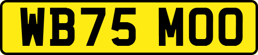 WB75MOO