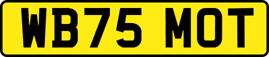 WB75MOT
