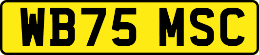 WB75MSC
