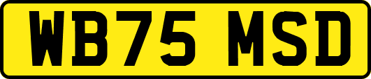 WB75MSD