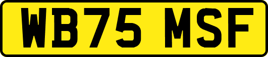 WB75MSF